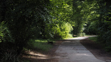 Park :D