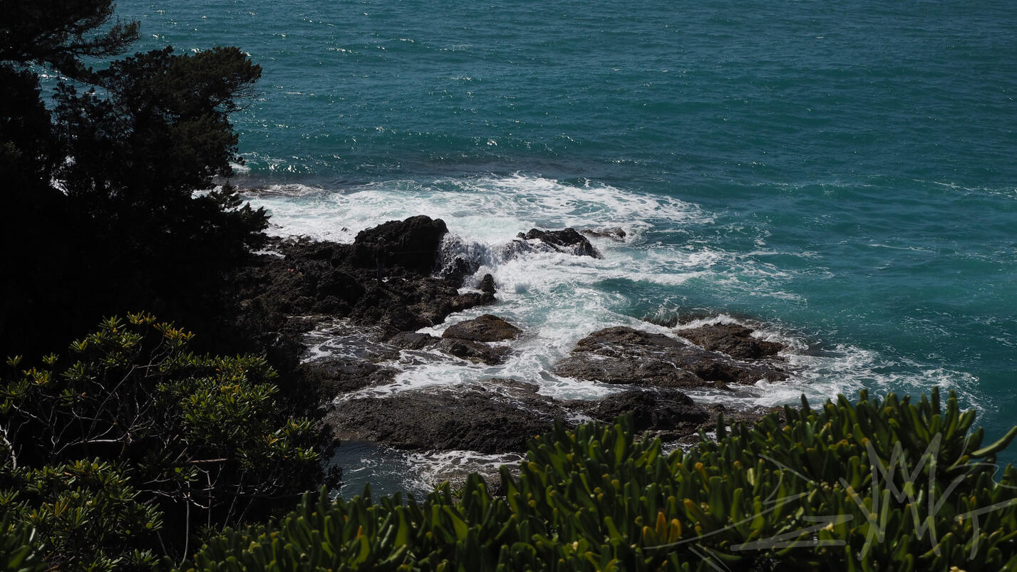 The Italian Sea