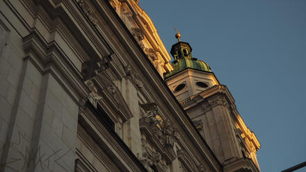 Sunlit view from below